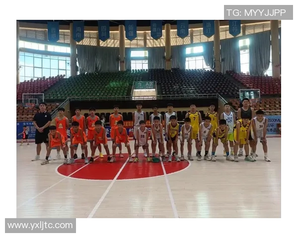 上林篮球明星的崛起与挑战：探索他们的奋斗历程与未来发展方向